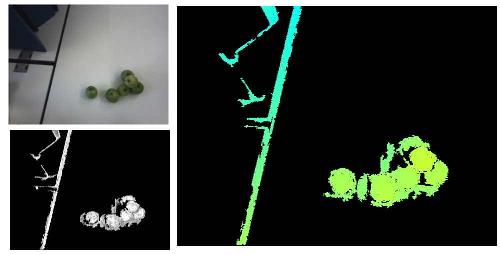 Sample images: left image (top left), confidence image (bottom left), and depth image (right)